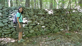 tall stone wall
