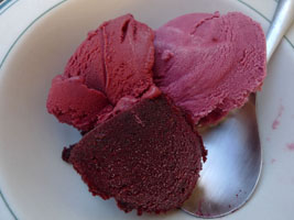 three kinds of blackberry ice cream, from berries picked in San Francisco