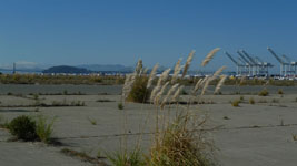 looking across the bay from Alameda Point