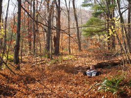 lying in the leaves