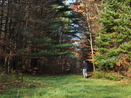 walking on the pipeline cut