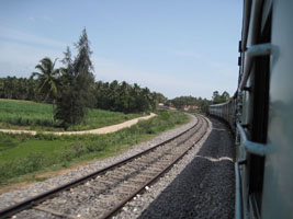 farm fields and palm trees