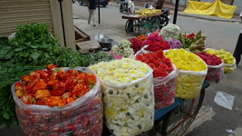 flowers for sale