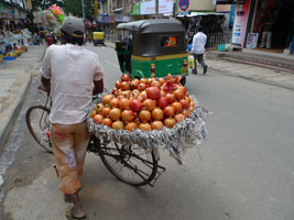 pomegranates for sale