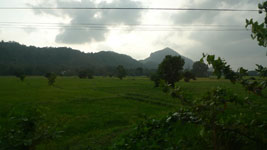 Sri Lanka countryside