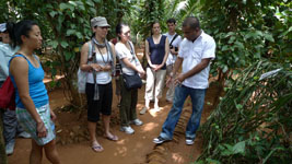 touring the spice garden