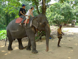 elephant ride