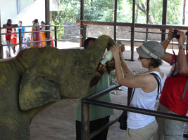 bottle feeding