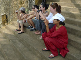 watching the elephants