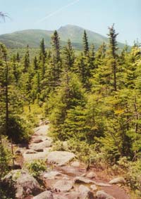 looking back on the trail down