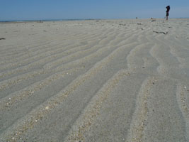 crane beach, ipswich