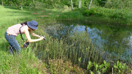 joy photographing frogs