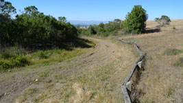 hiking Russian Ridge