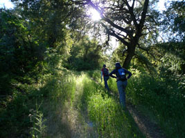 hiking Russian Ridge