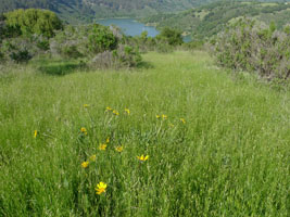 oakland hills in April