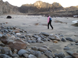 Joy walking at dawn, Mcclure Beach