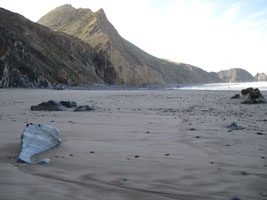 windswept sandy beach