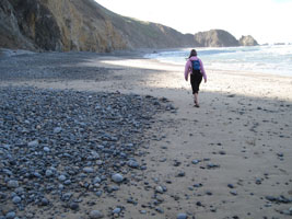 alone along the coast