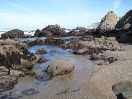 tidepools