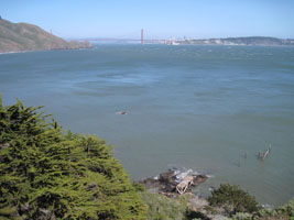 golden gate bridge and san francisco