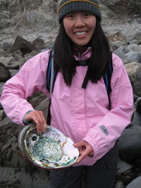 a giant abalone shell