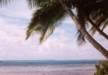 french polynesia seascape