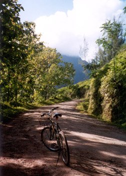 bicycling in Moorea
