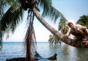 me climbing on a palm tree