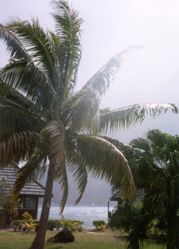 french polynesian rainstorm