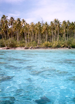 blue water green island