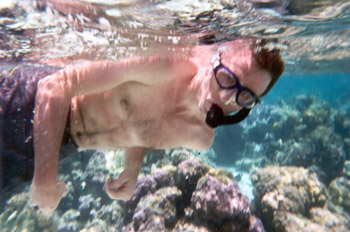 snorkeling off Moorea