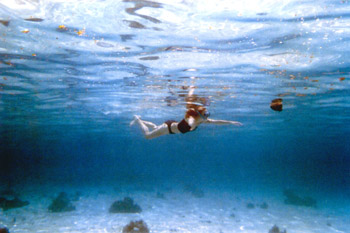 snorkeling off Moorea