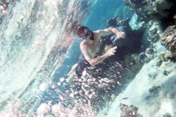 snorkeling off Moorea