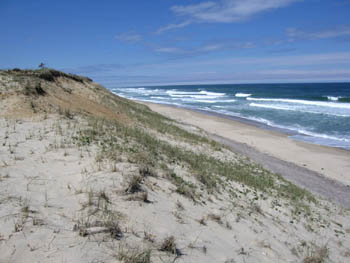 what a beautiful beach - Cape Cod