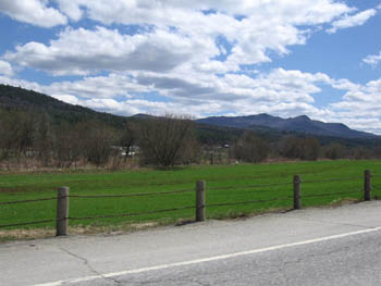 green grass, central Vermont