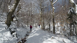 hiking into the snow, Mt Greylock