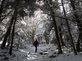 hiking into the snow, Mt Greylock