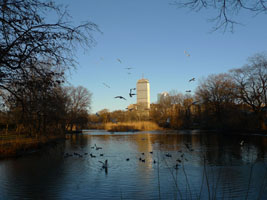 boston skyline