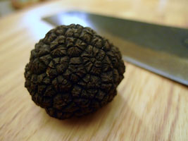 fresh black truffle from Alba, Italy