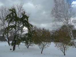 fourteen inches of snow at the end of October