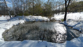 frozen pond