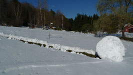 my giant snowball