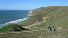 hiking the Tomales Point trail