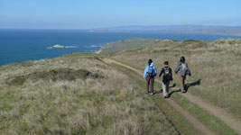 hiking the Tomales Point trail