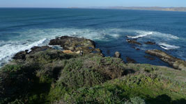 the very end of Tomales Point