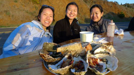 Barbecued oysters at Marshall Store