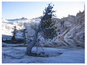 pear lake scenery