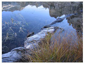 pear lake scenery