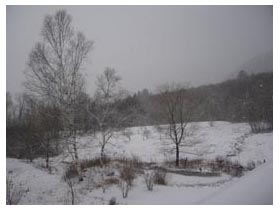 frozen pond