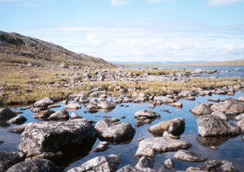 Baffin Island has few trees and many rocks